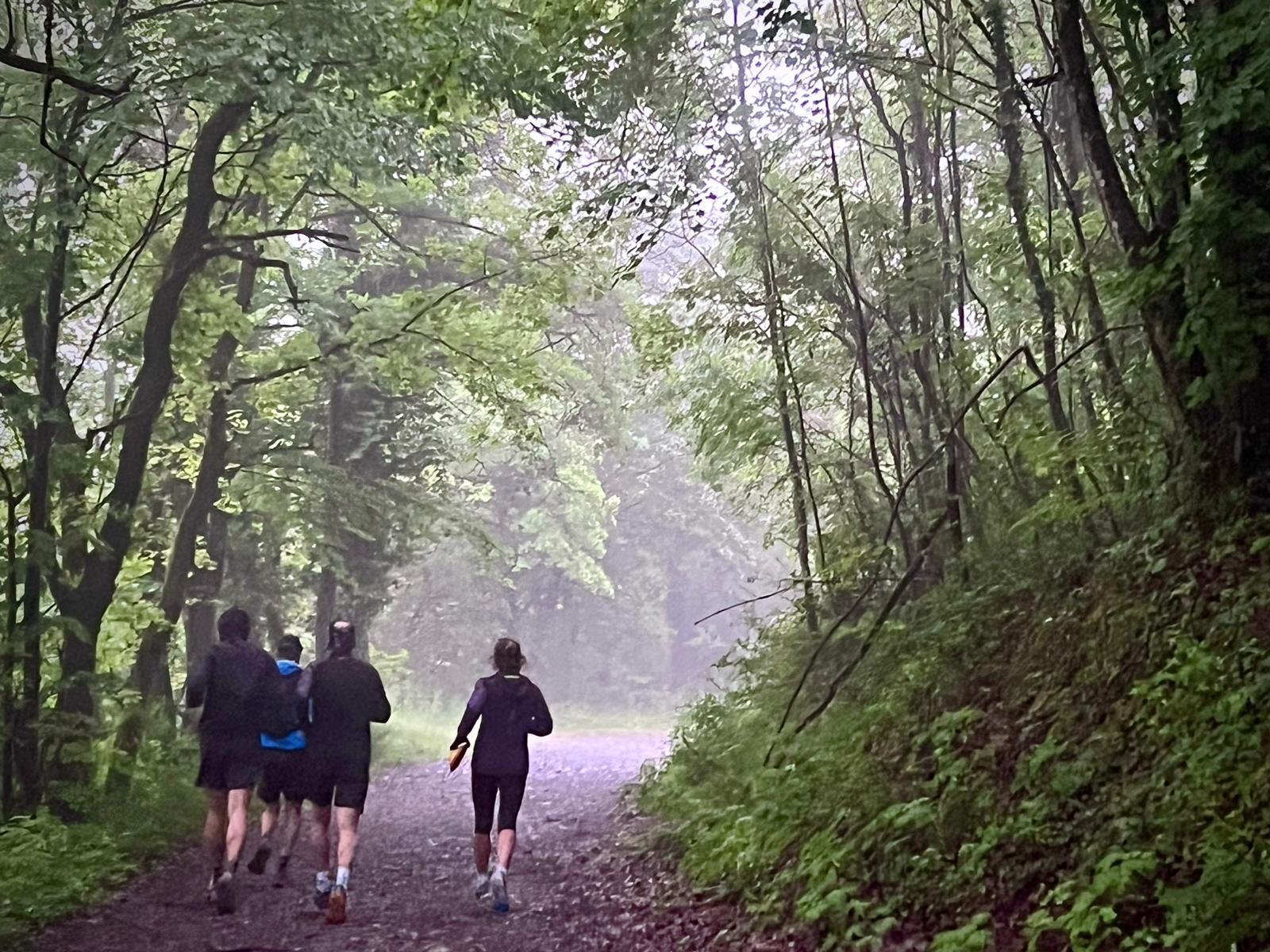 Photos Courir à Saint Vincent de Mercuze - Trail & coaching en Isère Chartreuse