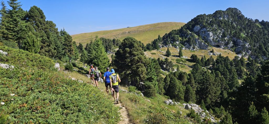 Courir à saint vincent